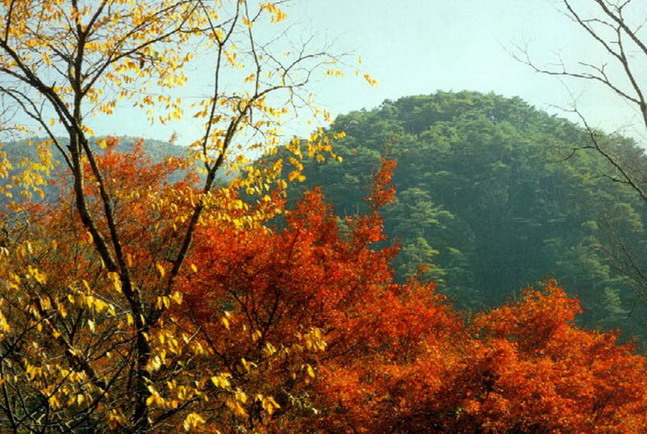 Mountain Tiangui16