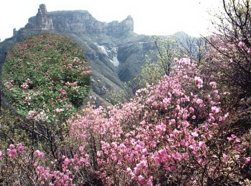 Mountain Zhangshiyan Scenic Area14