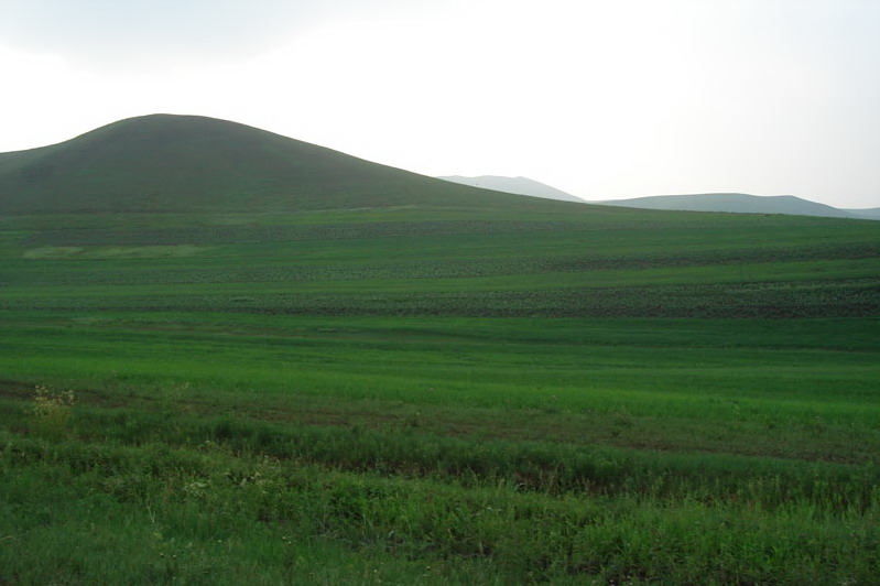 Bashang Grassland14