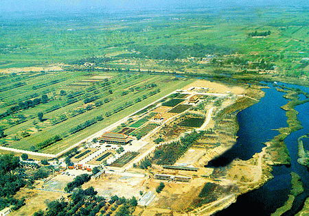 photo of The Yin Ruins Museum1