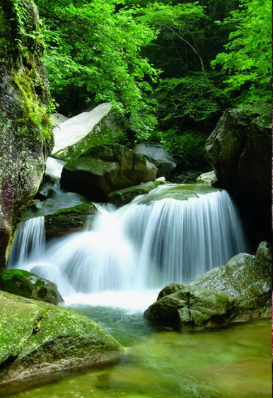 photo of Longyuwan National Forest Park3