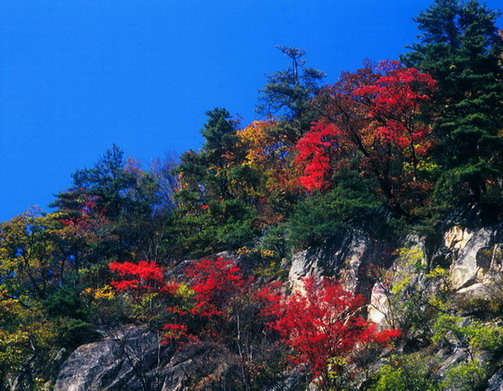 photo of Longyuwan National Forest Park5