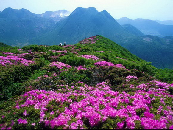 Longyuwan National Forest Park10