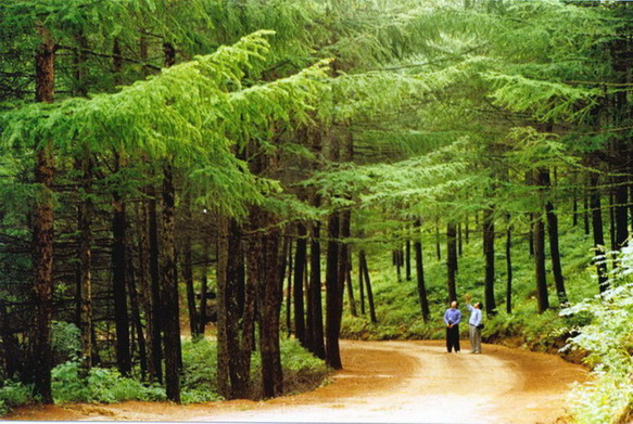 Longyuwan National Forest Park13