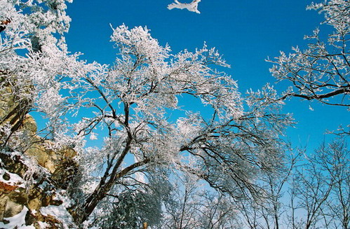 Longyuwan National Forest Park15