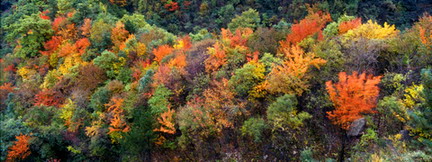 Longyuwan National Forest Park16