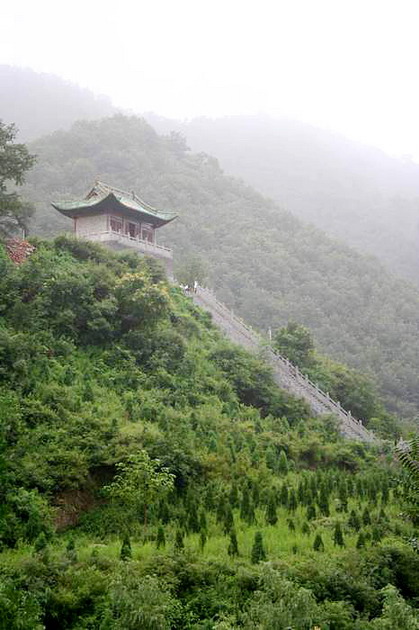 Mountain Wangwu Scenic Area8