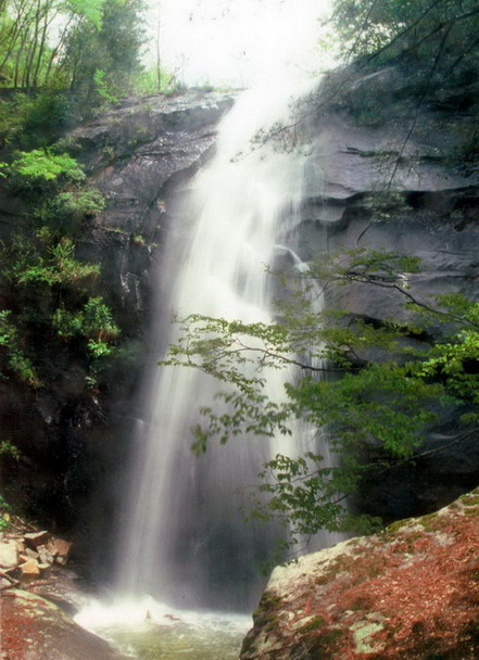 Baotianman Nature Reserve Area8