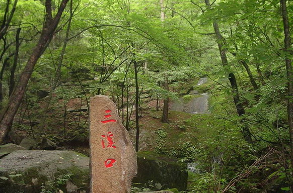 Baotianman Nature Reserve Area15