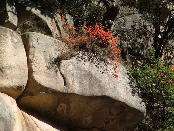 Mountain Funiu World Geopark7