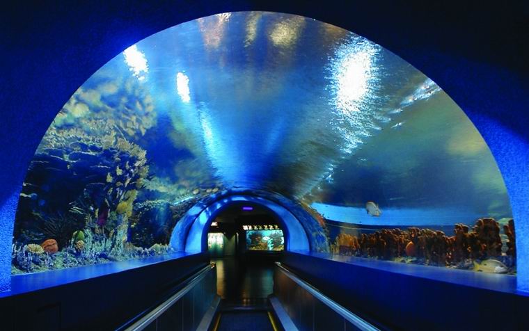 Beijing Aquarium8