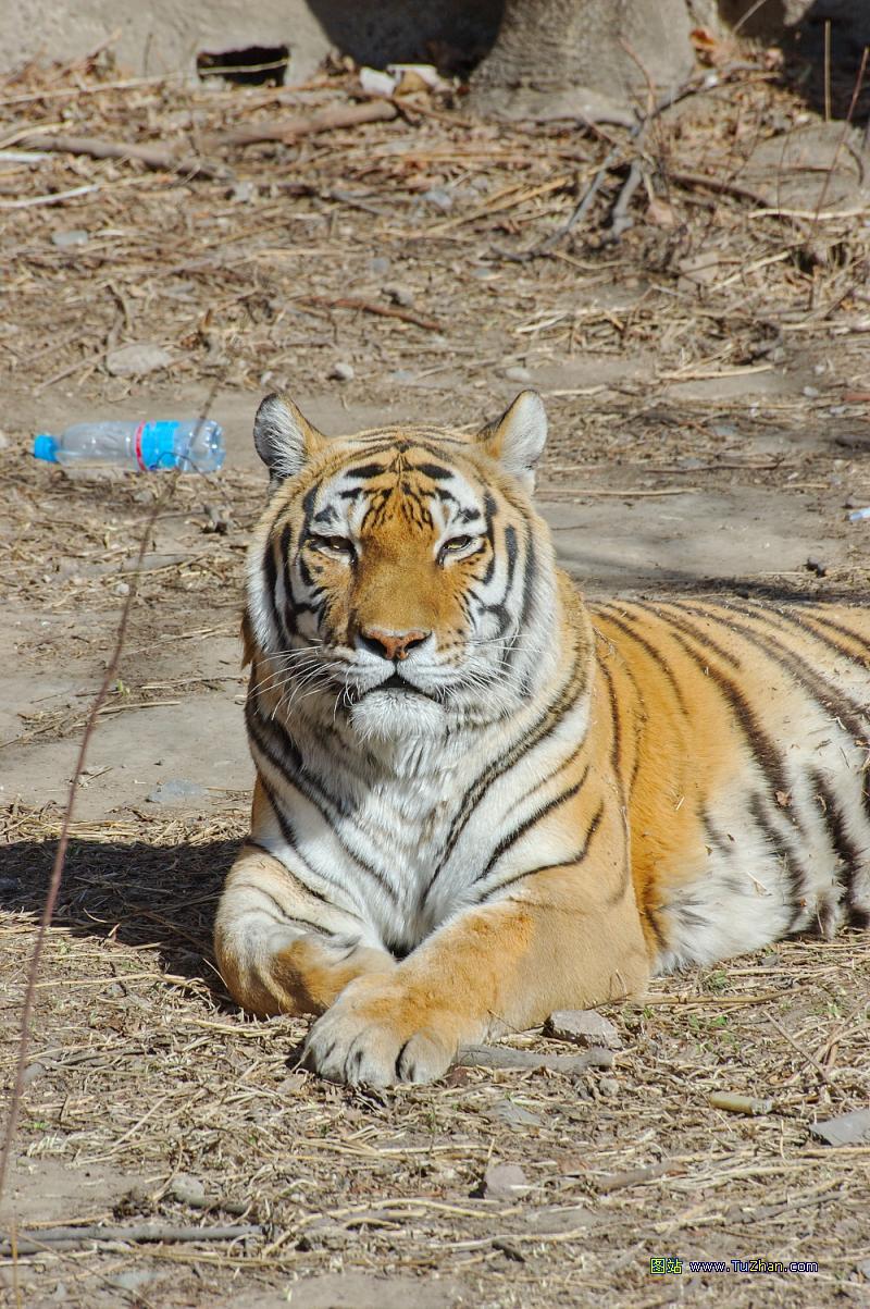 Beijing Zoo4