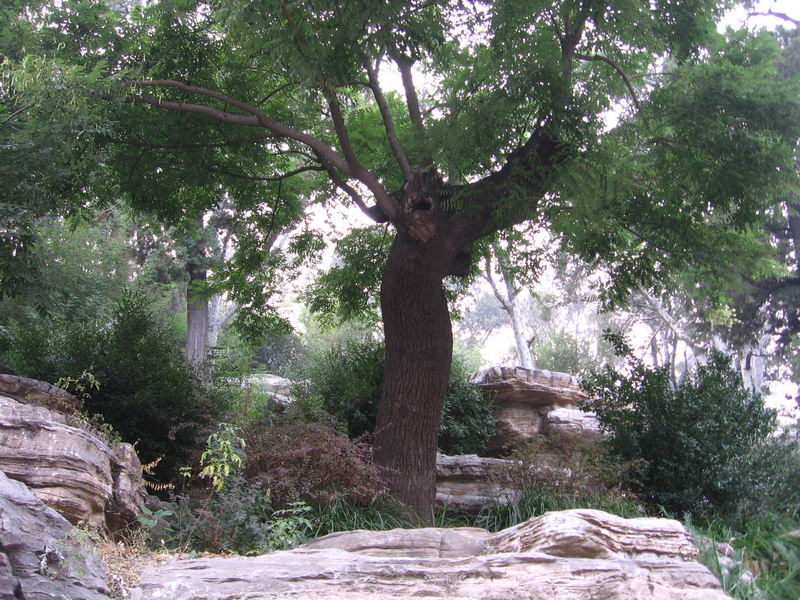 Jingshan Hill Park4