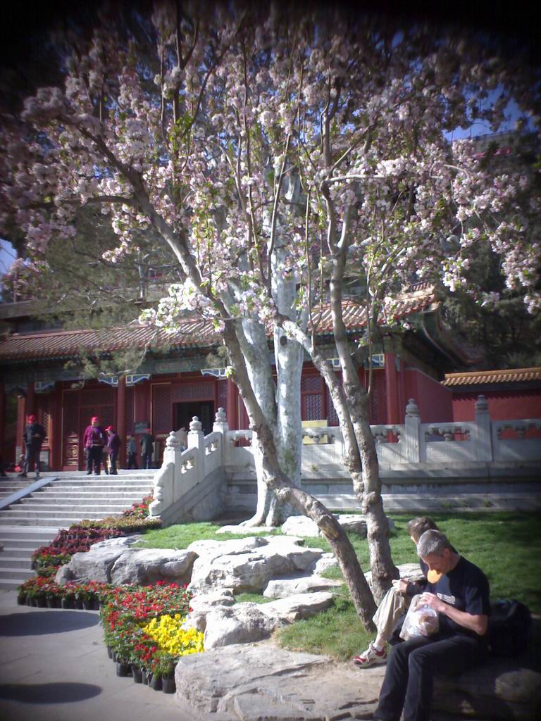 Jingshan Hill Park7