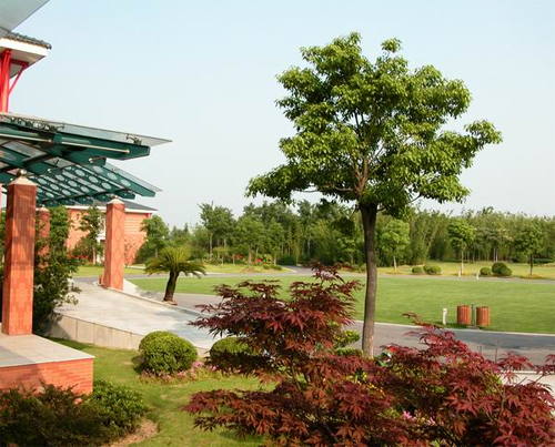 Sheshan National Holiday Resort4