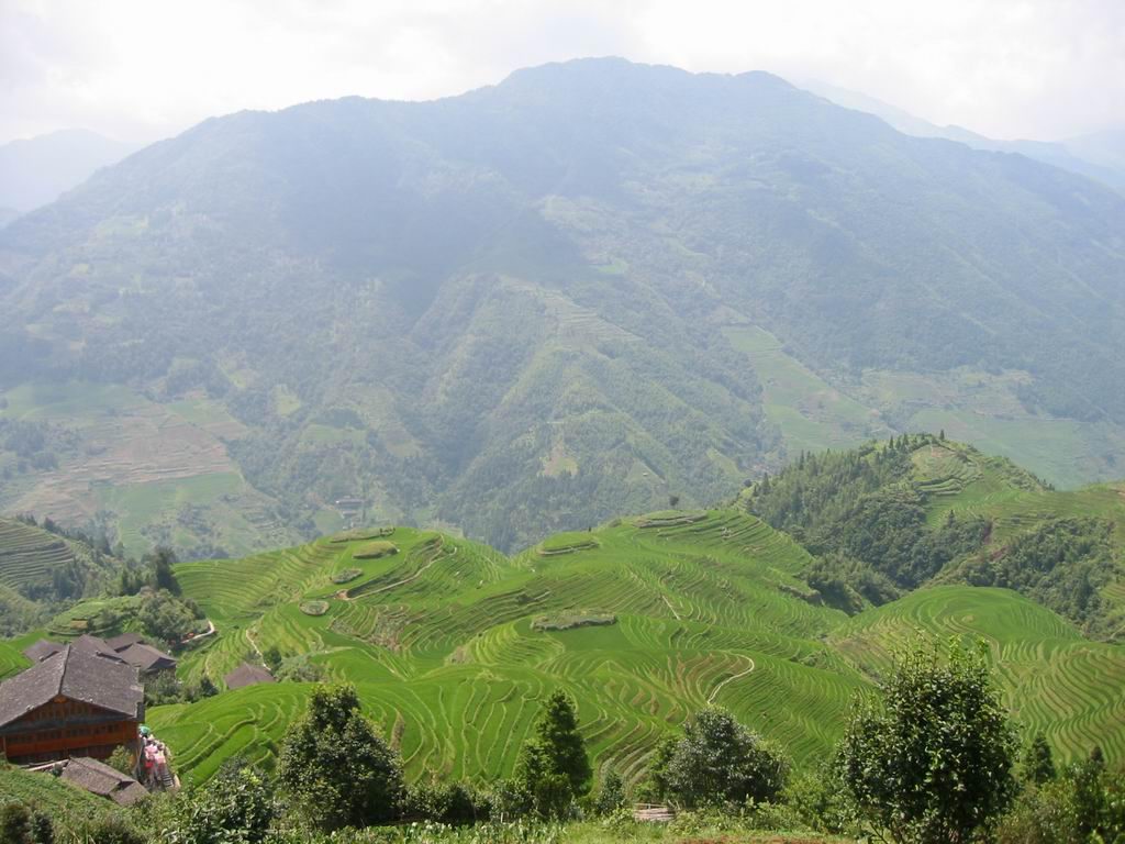 Longji Terrace1