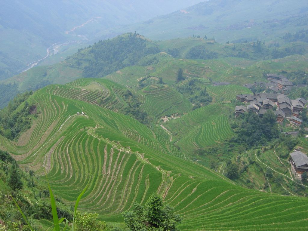 Longji Terrace2