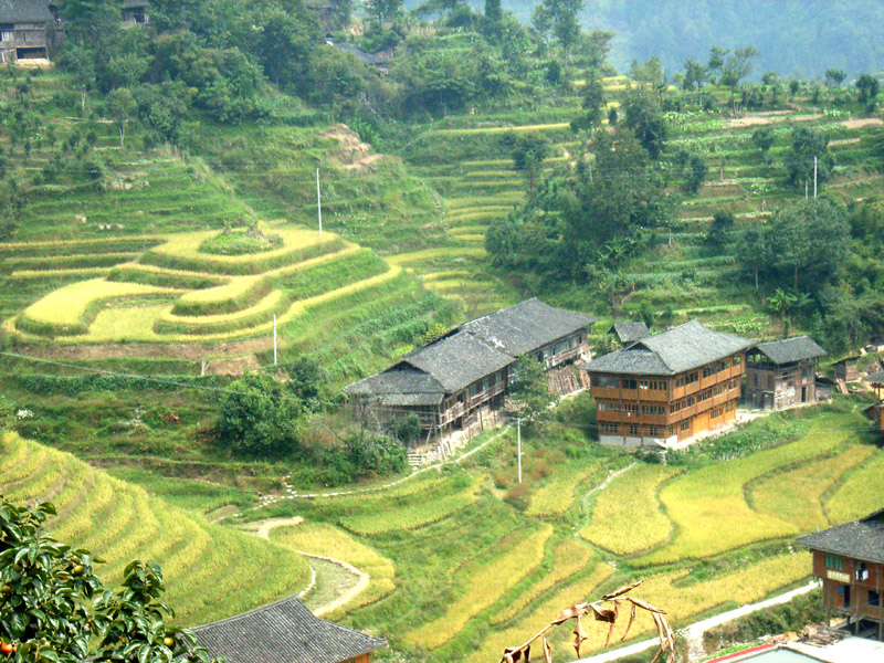 Longji Terrace3