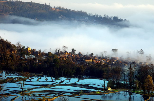 Longji Terrace8