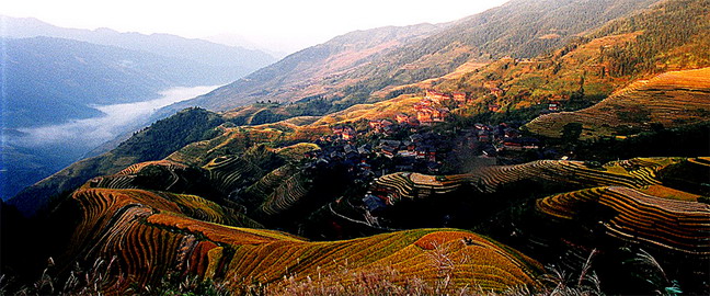 Longji Terrace9