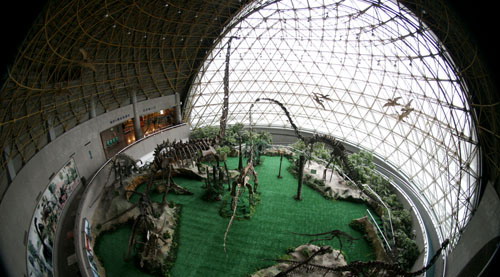 Tianjin Natural History Museum4