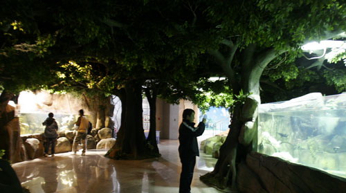 Tianjin Natural History Museum6