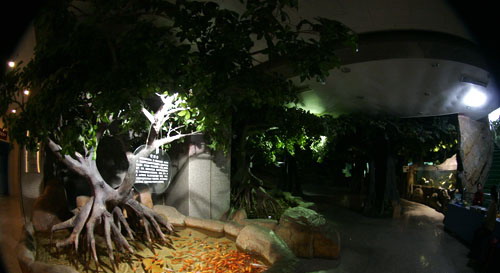 Tianjin Natural History Museum7