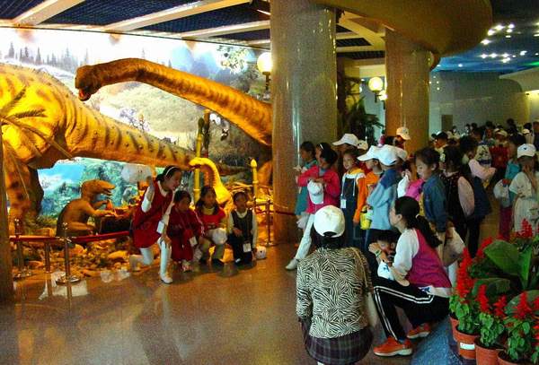 Tianjin Natural History Museum8