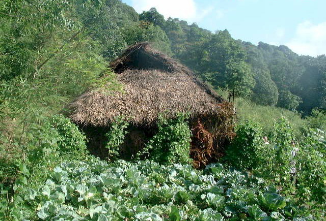 photo of Golden Buddha Mountain Scenic Zone2