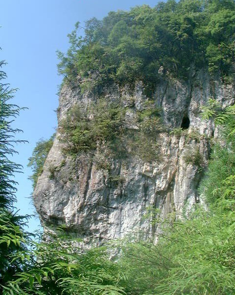 photo of Golden Buddha Mountain Scenic Zone3