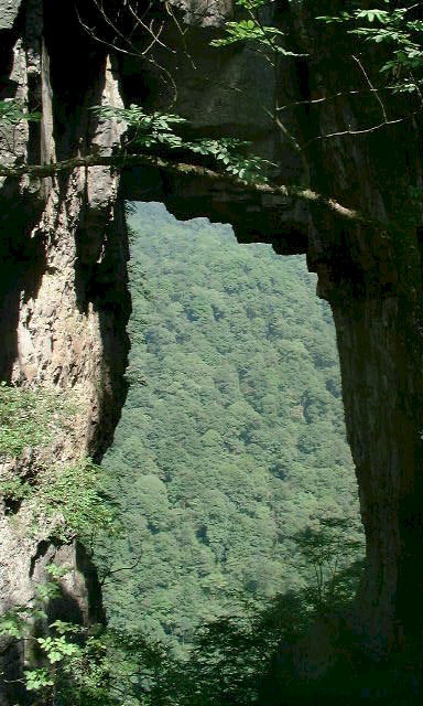 photo of Golden Buddha Mountain Scenic Zone9