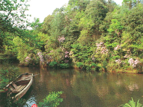 photo of simianshan mountain Scenic Zone16